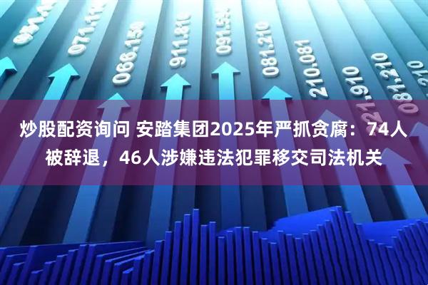 炒股配资询问 安踏集团2025年严抓贪腐：74人被辞退，46人涉嫌违法犯罪移交司法机关